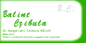 balint czibula business card